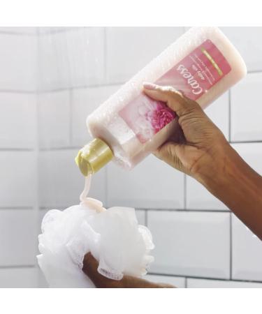 Caress Hydrating Body Wash, Silk Extract & Floral Oil, 25.4 Fl Oz (Pack of 4) - Buy Online on GoSupps.com