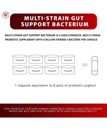Multi-Strain Gut Support Bacterium (30 Capsules) Soothes & Supports Gut Bowel & Digestive Health Colon Issues & I. B. S Relief. Powerful Multi-Strain Pro-Biotic | Shakra Health - Buy Online on GoSupps.com