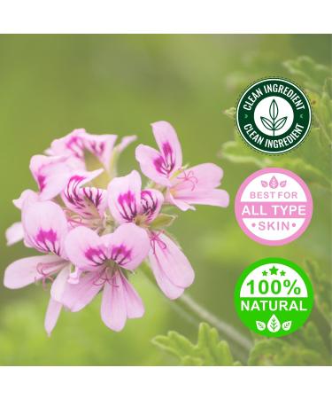 Geranium Essential Oil 4 fl oz (118 ml) Glass Bottle w/Cap 100% Pure GreenHealth - Buy Online on GoSupps.com