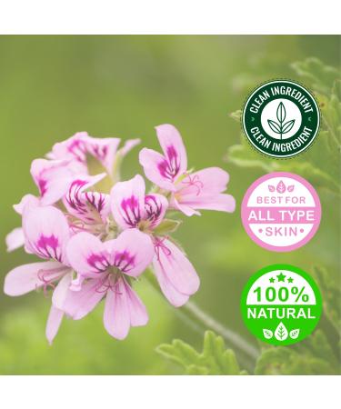 100% Pure Essential Oil- Geranium 10ml by Greenals - Buy Online on GoSupps.com