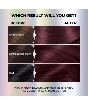 Garnier Nutrisse Ultra Color Permanent Hair Dye Vibrant Long-Lasting Colour Vegan Formula Nourished Hair Protects Hair Against Dryness 362 Burgundy Garnet 1 Application Packaging May Vary RED SHADES 362 Burgundy Garnet - Buy Online on GoSupps.com