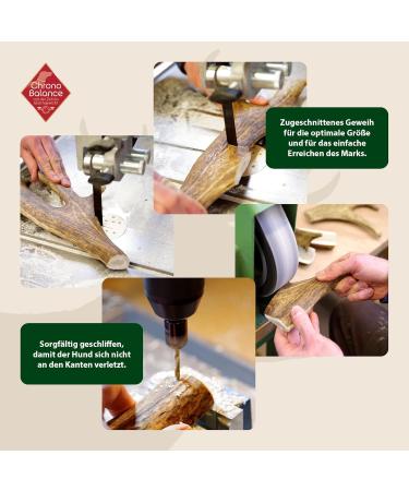 Chronobalance S Chewing Confection for Dogs - Natural 100% Antler Dental Care Toy Nutrient-Rich Treats for Women s Deer Dogs - 1 Piece - Buy Online on GoSupps.com