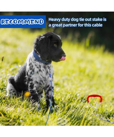 Buy Durable 3m Cable Ties & Dog Leash for Small Dogs - Ideal for Courtyard & Camping Up to 15.9 kg (35 lbs) - Buy Online on GoSupps.com