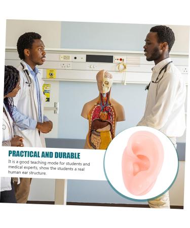 Shop Lalafina 2 Pairs Flexible Artificial Ear Models for Acupuncture & Seam Exercises - 3D Left Ear Protectors - Buy Online on GoSupps.com