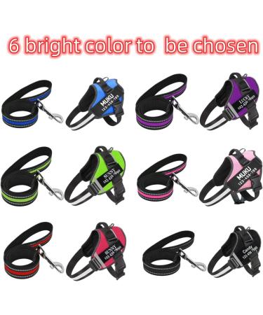 Moonpet Personalized No Pull Dog Harness Leash Set with Custom Name and Phone Number Heavy Duty Pet Vest to Prevent Tugging Pulling or Choking Training and Walking (XS-XXL 9 Colorful) 6 color - Buy Online on GoSupps.com