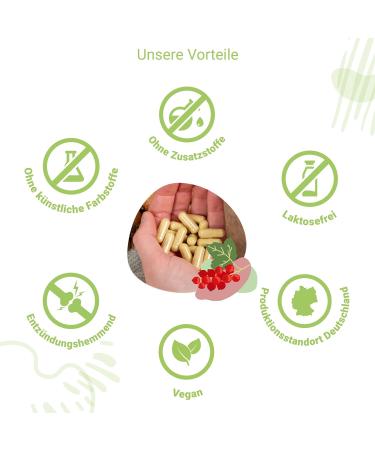  for you high balance | 60 capsules (40g 60 servings) with bacterial cultures plant compounds hyaluronic acid minerals and vitamin C - Buy Online on GoSupps.com