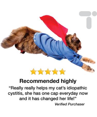 Transforme Cystassist Feline Urinary Tract Supplement Support for Cats of All Ages 45 Capsules - Buy Online on GoSupps.com
