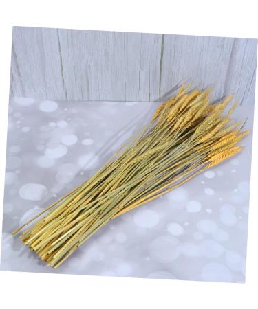 Artibetter 1 Decor Dried Wheat Natural Wheat Dried Flowers Simulation Wheat Rural Wheat Ears of Wheat Flower Basket Golden 15*42cm - Buy Online on GoSupps.com