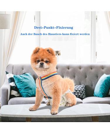 Buy 2-Piece Dog Diaper Trousers & Harness - XL Rainbow & Blue for Female Dogs | Pet Clothing & Belly Straps - Buy Online on GoSupps.com