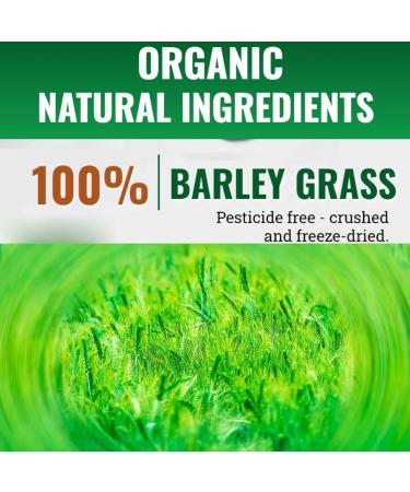Naveta Barley Grass Powder 100% Pure & Organic -Organic Barley Grass Powder Juice Powder and Pure Powder for Women and Men by Naveta - Vegan-Friendly (2PCS) - Buy Online on GoSupps.com