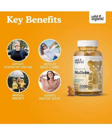 Organic Mullein Gummies - Respiratory & Digestive Support - 2000mg 60 Chews - Buy Online on GoSupps.com