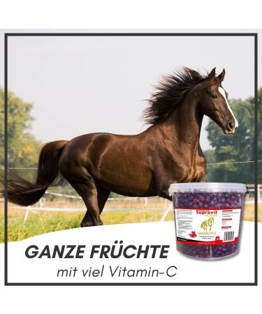 Supravit Rose Hed Horse 2kg Bucket | Vitamin C Enriched Dried Fruits for Horses & Ponies | Sugar-Free Natural Treats | Premium Quality - Buy Online on GoSupps.com
