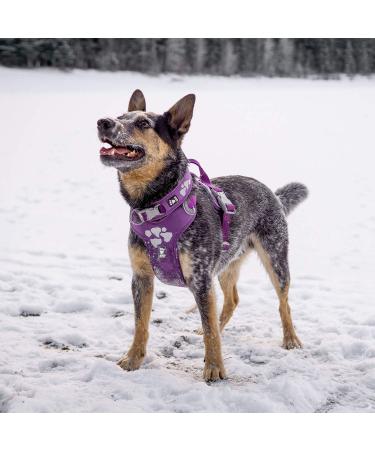 Hurtta Weekend Warrior Dog Harness - Size 60-80cm Currant - Durable & Adjustable for International Shipping - Buy Online on GoSupps.com