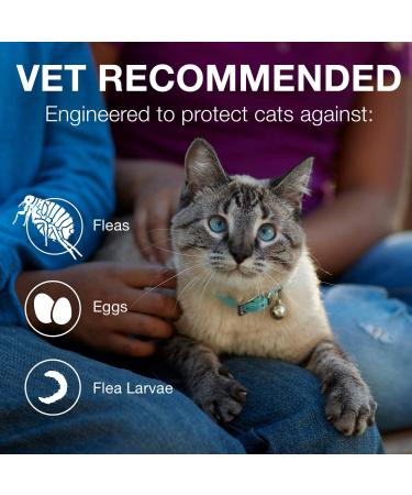 Advantage II Flea Treatment for Kittens (2-5 lbs) - 2-Pack - Buy Online on GoSupps.com