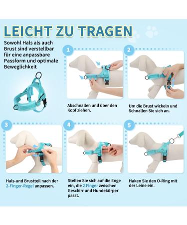 Eyein No-Pull Dog Harness with Leash | Padded & Adjustable for All Breeds | Reflective Design | Soft Dishes for Puppies Small & Large Dogs | Blue-Green XXS - Buy Online on GoSupps.com