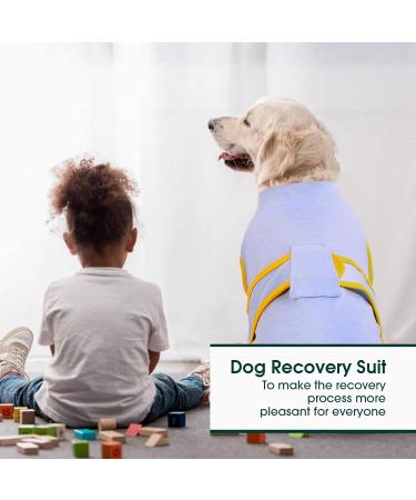 Kuoser Light Blue Dog Recovery Suit | Anti-Lick & Leakage Protection | XS for Male & Female Dogs After Surgery - Buy Online on GoSupps.com
