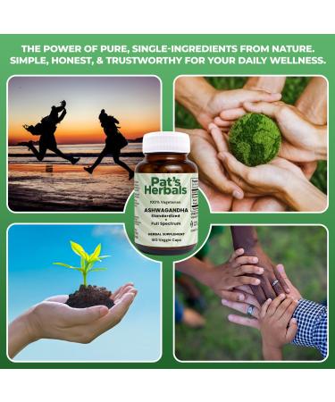 Pat's Herbals Ashwagandha Capsules | 180 Count | 600mg Pure Ashwagandha Root | Vegan & Non-GMO | USA Grown - Buy Online on GoSupps.com