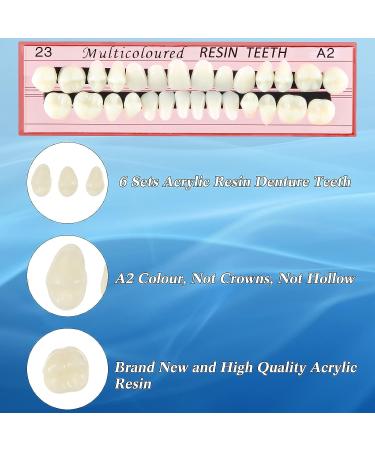 68-Piece Halloween Fake Teeth Set | Complete Acrylic Resin Denture Kit for Horror Props and DIY Models - 6 Sets Included | A2 Color - Buy Online on GoSupps.com