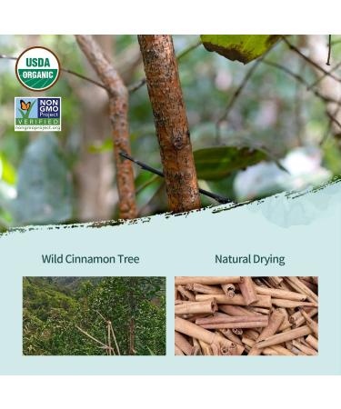 Soeos Organic Cinnamon Sticks 8 oz (226g) - Ground Cinnamon for Baking, Cooking & Beverages - Non-GMO, Kosher Certified - 100% Raw Cinnamon Seasoning Spice - Buy Online on GoSupps.com