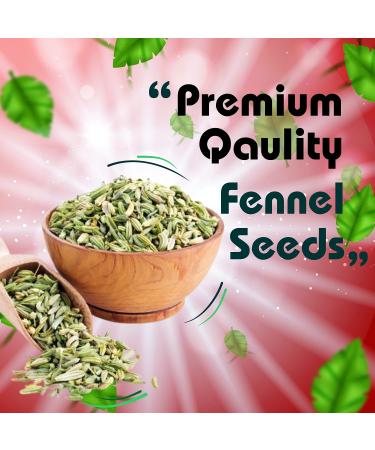 ALKA-G Sugar Coated Fennel Candy 10.5 oz (299 gm) - Sweet Indian After-Meal Digestive Treat - Buy Online on GoSupps.com