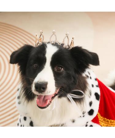 Shop Lovlyyshop Palle Collection - Gilded Royal Saury Pearls Hair Accessories for Dogs & Cats | Extra Large Sizes - Buy Online on GoSupps.com