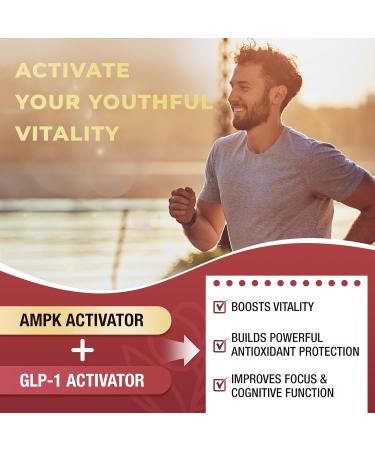 ZEBORA Dihydroberberine 1250mg Berberine Supplement with Ceylon Cinnamon Bitter Melon R-ALA 5X Potency & Bioavailability - Supports Immune Digestion & Heart Health Non-GMO 120 Capsules 1 Count (Pack of 120) - Buy Online on GoSupps.com