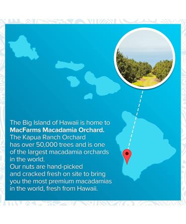 MacFarms Coconut Macaroon Macadamia Nuts - 4.5 Oz (Pack of 3) - Buy Online on GoSupps.com