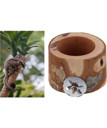 Hztyyier Wooden Hamster Feeding Bowl Hamster Wooden Food Bowl Small Pet Feeding Bowls for Dwarf Syrian Hamsters Gerbils Mice Degus - Buy Online on GoSupps.com