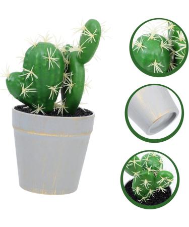 Alipis Potted Cactus Ornament Fake Planta Decor Plastic Flower Pots Plastic Plant Pots Porcelain Artificial Greenery Desktop Adornments Simulation Cactus Statue Silk Flowers Fake Bonsai Green 19X9CM - Buy Online on GoSupps.com
