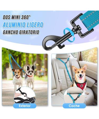Slowton Adjustable Double Dog Leash - 360 Rotatable Reflective Design for Small Dogs (3-9 kg) - Aquamarine - Buy Online on GoSupps.com