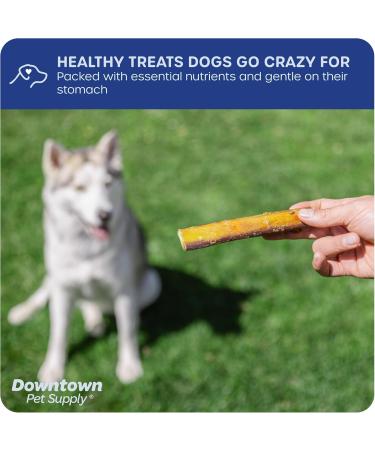 Downtown Pet Supply Bully Sticks for Dogs (6" 10-Pack Jumbo) Non-GMO Grain Free Rawhide Free Dog Chews Long Lasting Pizzle Sticks - Low Odor Bully Sticks for Large Dogs - Buy Online on GoSupps.com