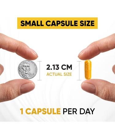 Sandhu's Curcumin C3 Complex with BioPerine 60 Capsules | Non-GMO | High Absorption from Turmeric Root - Buy Online on GoSupps.com