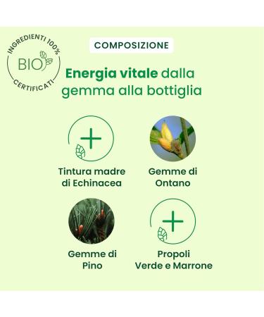  Herbalgem HerbalGem Siroppo Herbal Respi Recipe Traditional Pioppo Black Pine Mugo 150 ml for Adults and Children - Buy Online on GoSupps.com