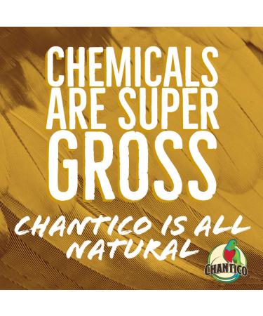 Chantico Agave Sweetener 3-Pack - Organic Natural Sugar Substitute with Low Glycemic Index - Stevia Alternative - Premium Taste - 11.75oz Bottles - Buy Online on GoSupps.com
