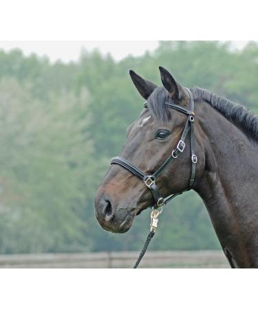 Solibel Trekking Bridle Black - Stainless Steel Warmblood Fit | International Shipping - Buy Online on GoSupps.com