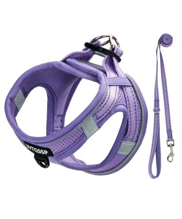 Dog Harness Small Dogs Purple Padded Puppy Harness Dog Harness Harness Dogs Small XXS XXS Purple - Buy Online on GoSupps.com