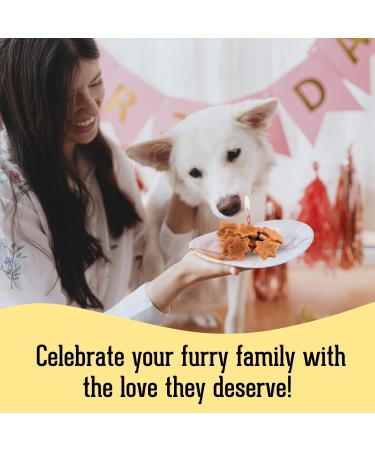 The Granville Island Pet Treatery|Gift Box Chamomile Ginger & Turkey Biscuits for Dogs All Natural & Chemical- Free Great As A Hostess Gift Or Thank You Made in Canada|88865 Ginger & Turkey 135 g (Pack of 1) - Buy Online on GoSupps.com