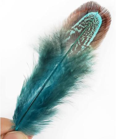50 pcs Blue Natural Pheasant Plumage Feathers 2-3 Inches for Sewing Crafts & Decorating - Buy Online on GoSupps.com