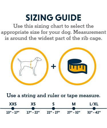 RUFFWEAR Web Master Dog Harness | Padded Anti-Escape Design | 2 Lead Attachments | Size Medium (69-81 cm) | Red Sumac - Buy Online on GoSupps.com