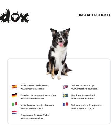 DDOXX Airmesh Dog Leash - 2m 3-Way Adjustable for All Dog Sizes - Red M (2.5 x 200 cm) - International Shipping Available - Buy Online on GoSupps.com
