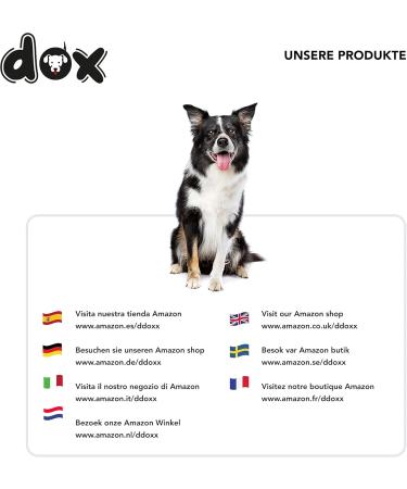 DDOXX Air Mesh Dog Leash - 2m Double Leash for Small & Large Dogs Cats & Puppies | Durable Tug & Guide Line | Ideal for Running - Black XS (1.5 x 200 cm) - Buy Online on GoSupps.com