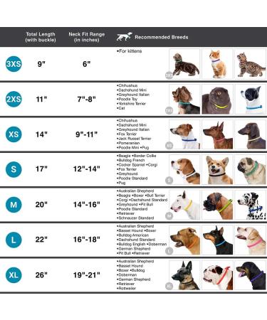 Collardirect Handmade Soft Padded Leather Dog Collar Round Real Leather Adjustable for Small to Big Pets Available in Black Pink Red Purple Blue (35-40 cm) - Buy Online on GoSupps.com