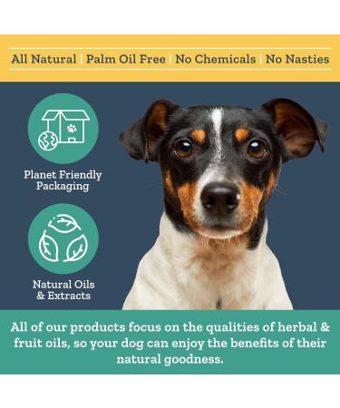 Herbal Dog Co 250ml Ear Cleaner for Dogs & Puppies | Natural Ear Cleaning Solution - Stops Itching, Removes Dirt | Vegan & Made in UK - Buy Online on GoSupps.com