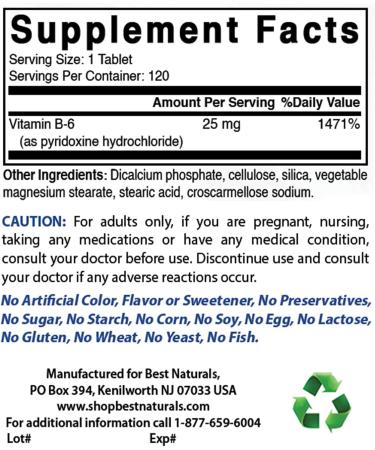 Best Naturals Vitamin B6 25mg - 120 Tablets (Pack of 1) | Essential B6 Supplement - Buy Online on GoSupps.com
