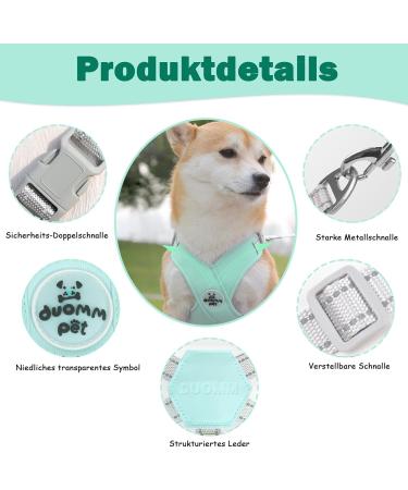 Dog Harness for Small Dogs | No Pull Safety Chest Harness | Reflective Soft Dog Leash for Small & Medium Dogs (Green) - Buy Online on GoSupps.com