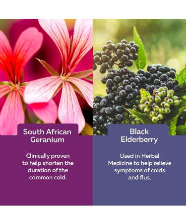 Nature's Way Sambucus Cold and Flu Relief Original Elderberry Gummies Used in Herbal Medicine to Help Relieve Symptoms (Cough Runny Nose and Sore Throat) in Adults 60 Gummies 60 count (Pack of 1) Medicine - Buy Online on GoSupps.com