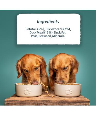 Burns - Grain Free Adult Dog Food with Duck and Potatoes - 2 kg - Buy Online on GoSupps.com