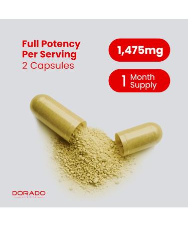 GLP-1 Supplement 14 in 1 Formula (GLP1 Supplement with Berberine ACV Chromium Ceylon Cinnamon Turmeric & More) Support Gut Health & Metabolism - Third Party Tested Vegan Safe & USA Made - Buy Online on GoSupps.com