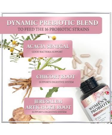 Probiotics for Women Digestive Health Support - 90 Billion CFU Women's Probiotic 16 Strains Cranberry Vaginal Probiotic with Prebiotics PH Immune Urinary & Feminine Health Support 60 Capsules 60 Count (Pack of 1) - Buy Online on GoSupps.com