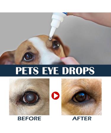 Eye Drops for Dogs & Cats - 10ml | Comfort Relief for Dry Eyes & Itching | 3pcs Progressive Lanosterol Eye Cleaner - Buy Online on GoSupps.com